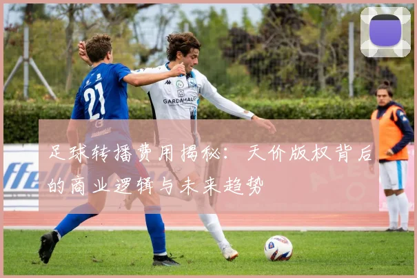 足球转播费用揭秘：天价版权背后的商业逻辑与未来趋势